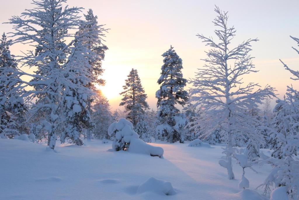 Kielo In Center Near All The Main Spots Rovaniemi Exteriér fotografie