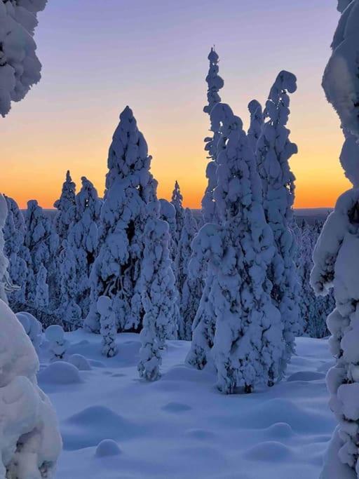 Kielo In Center Near All The Main Spots Rovaniemi Exteriér fotografie